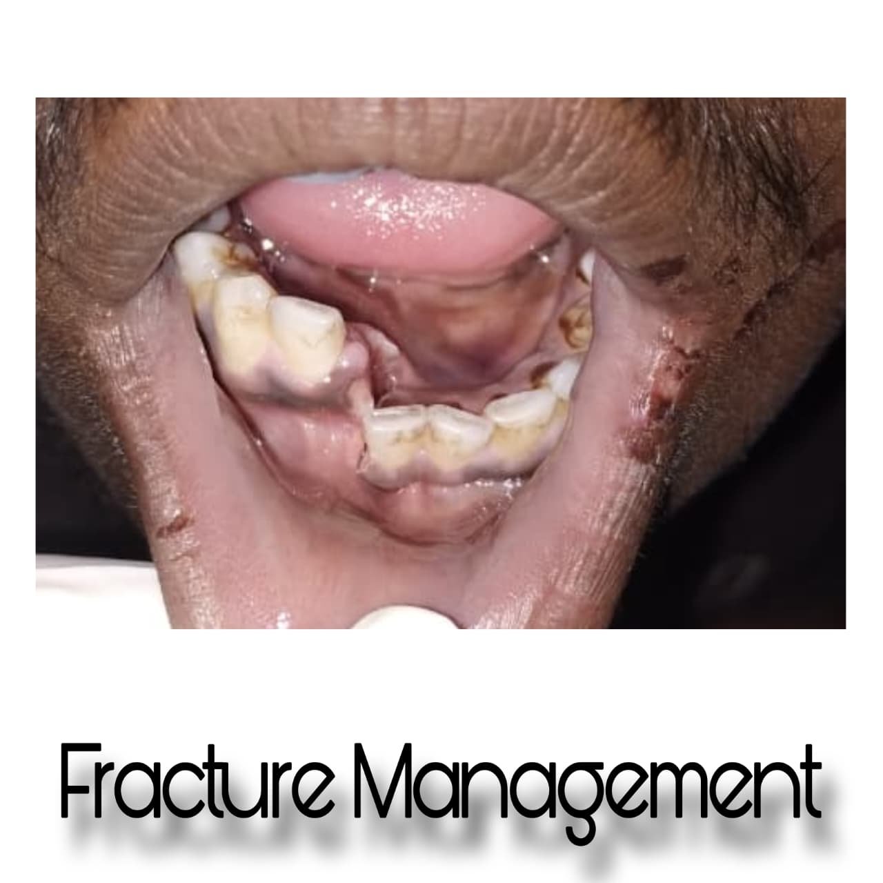 Clinical Case 07